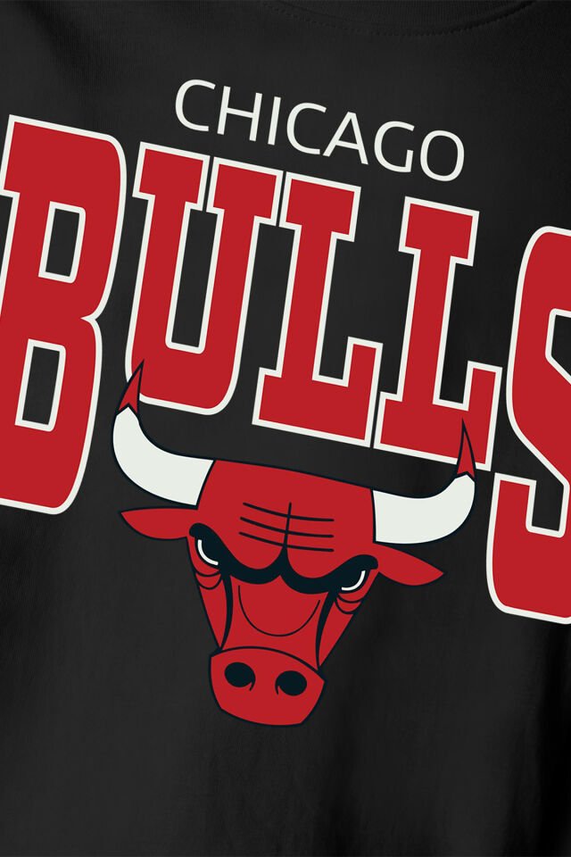 CHICAGO BULLS BASKILI ERKEK ÇOCUK T-SHIRT
