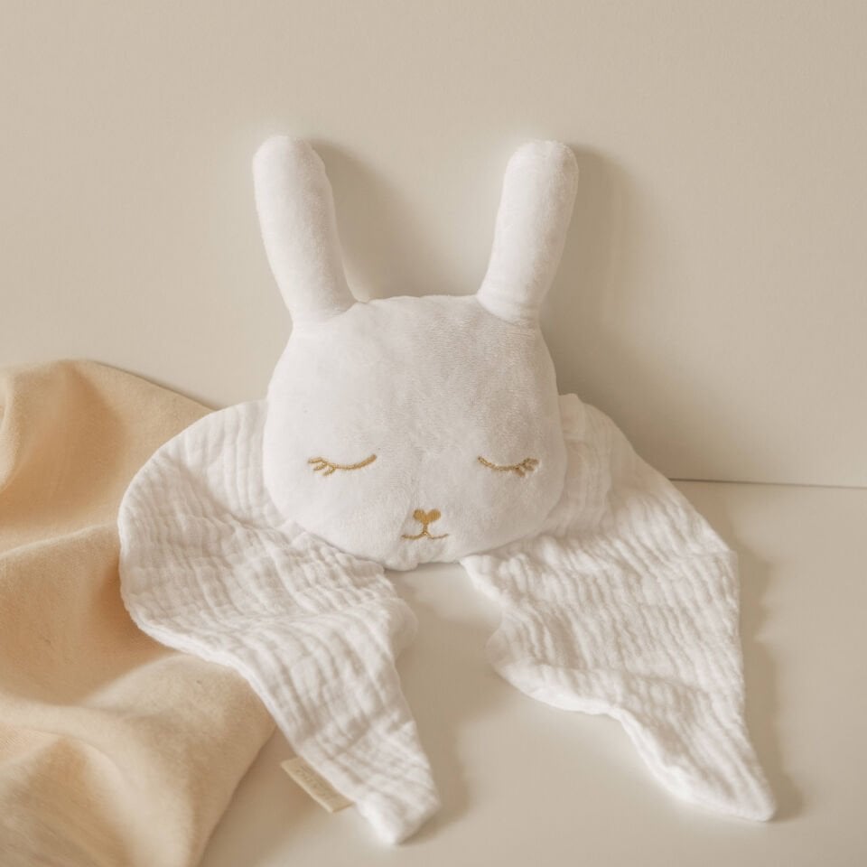 LAPIN OLA KESESİ UYKU ARKADAŞI