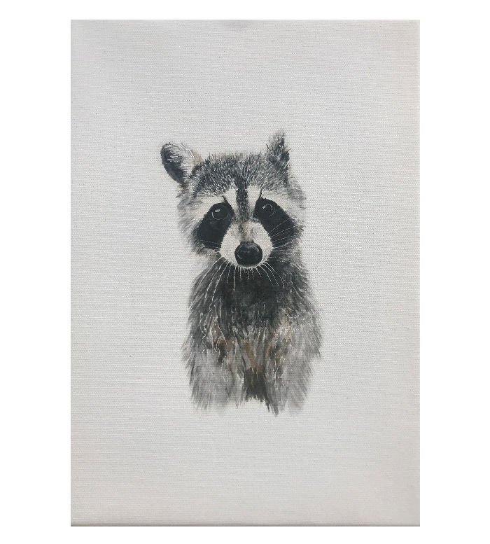 SULUBOYA GÖRÜNÜMLÜ RAKUN KANVAS TABLO