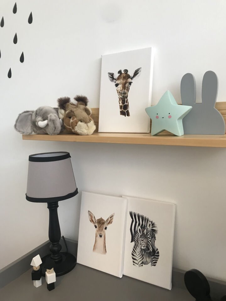 SULUBOYA GÖRÜNÜMLÜ CEYLAN KANVAS TABLO