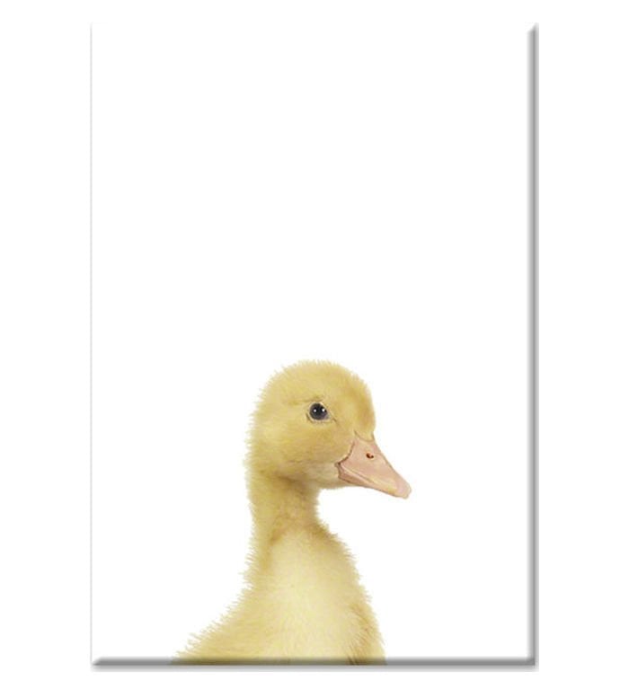 YAVRU ÖRDEK KANVAS TABLO